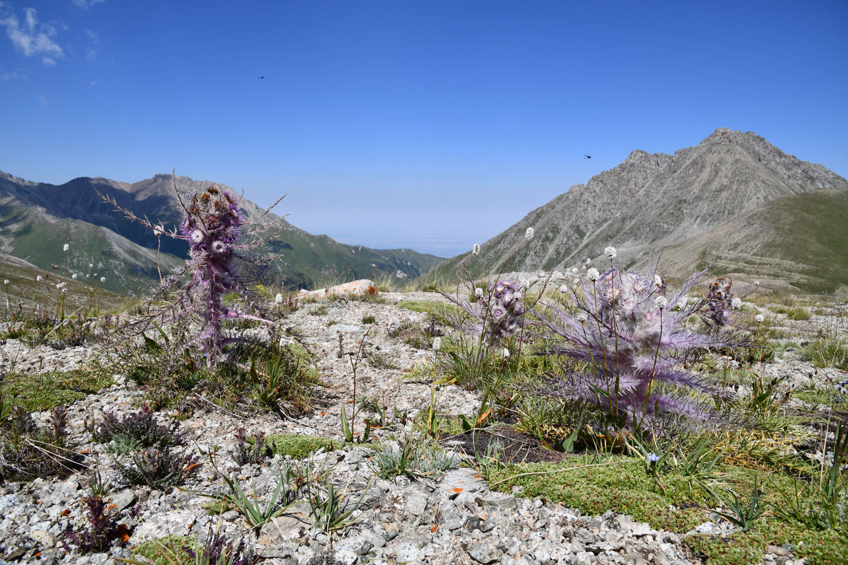 Космостанция, image of landscape/habitat.