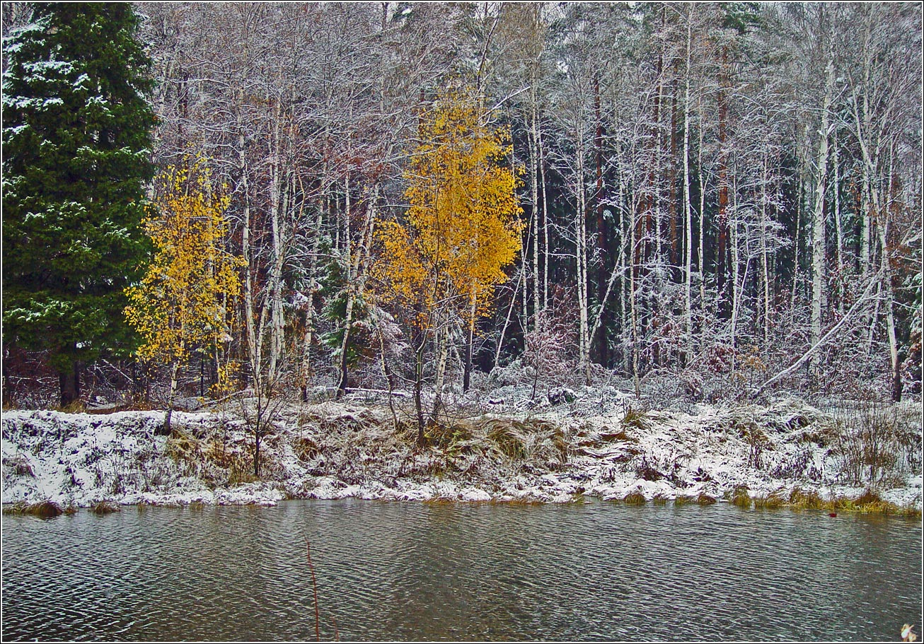 Окрестности Хрипани, image of landscape/habitat.