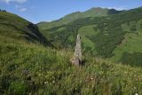 Image of landscape