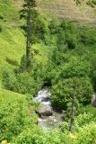 Image of landscape