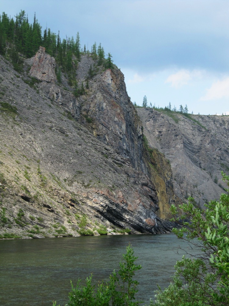 Кожим-переправа, image of landscape/habitat.