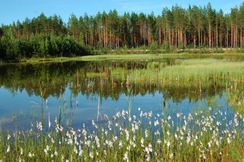 Маджа, image of landscape/habitat.