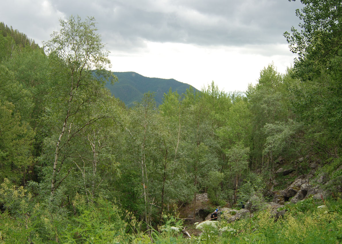 Ручей Снежный, image of landscape/habitat.