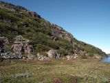 Image of landscape
