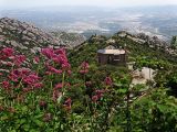 Image of landscape