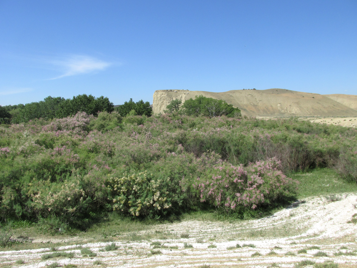 Долина реки Рубас, image of landscape/habitat.