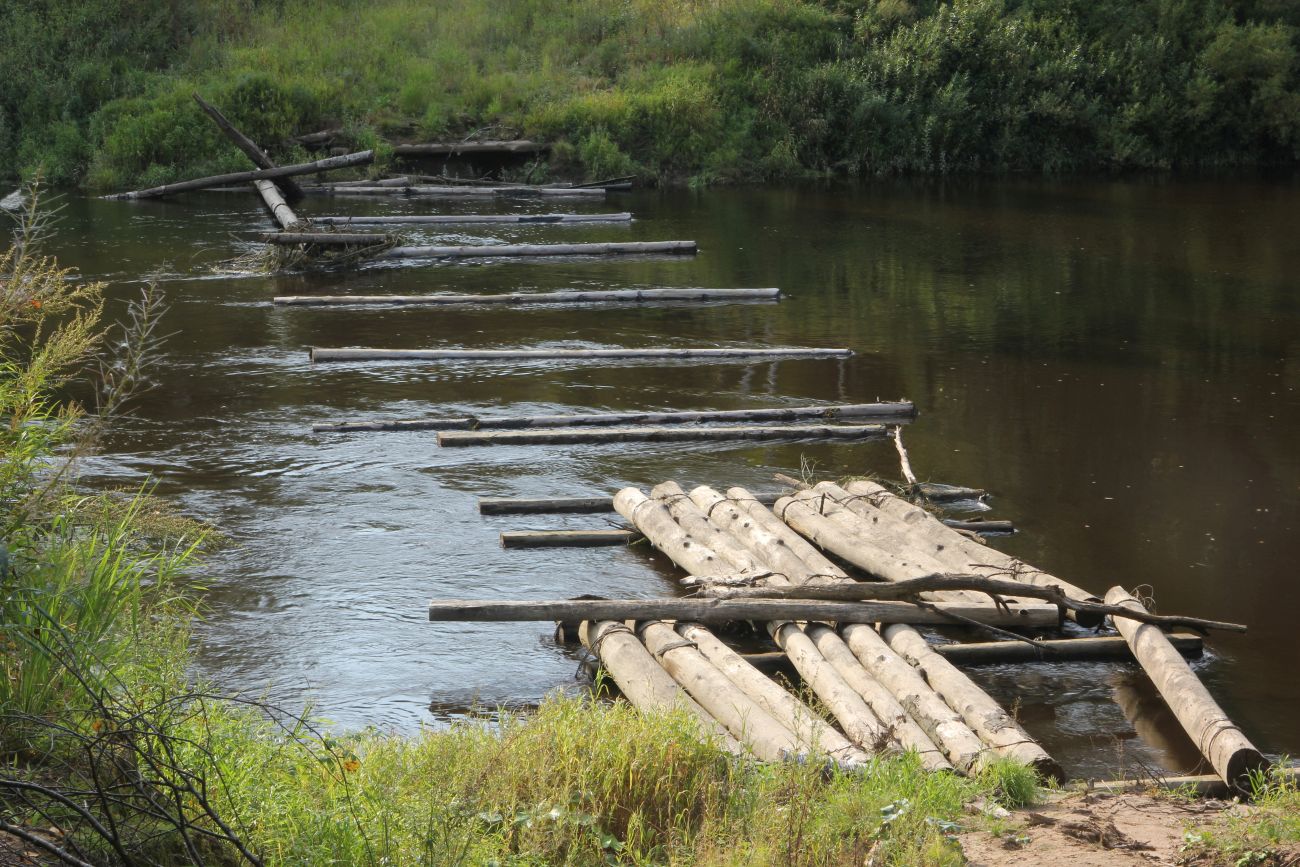 Окрестности устья реки Вига, image of landscape/habitat.