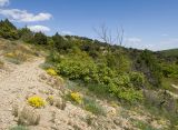 Image of landscape