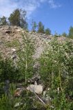 Image of landscape