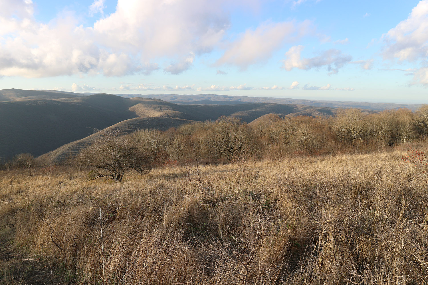 Лысая-Неберджаевская, image of landscape/habitat.