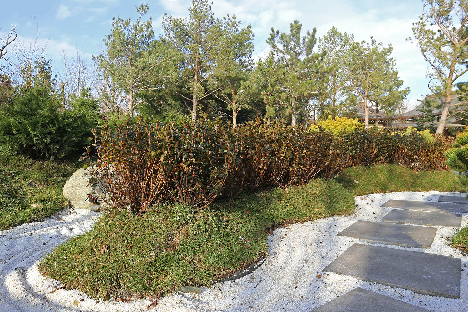 Японский сад в парке Галицкого, image of landscape/habitat.