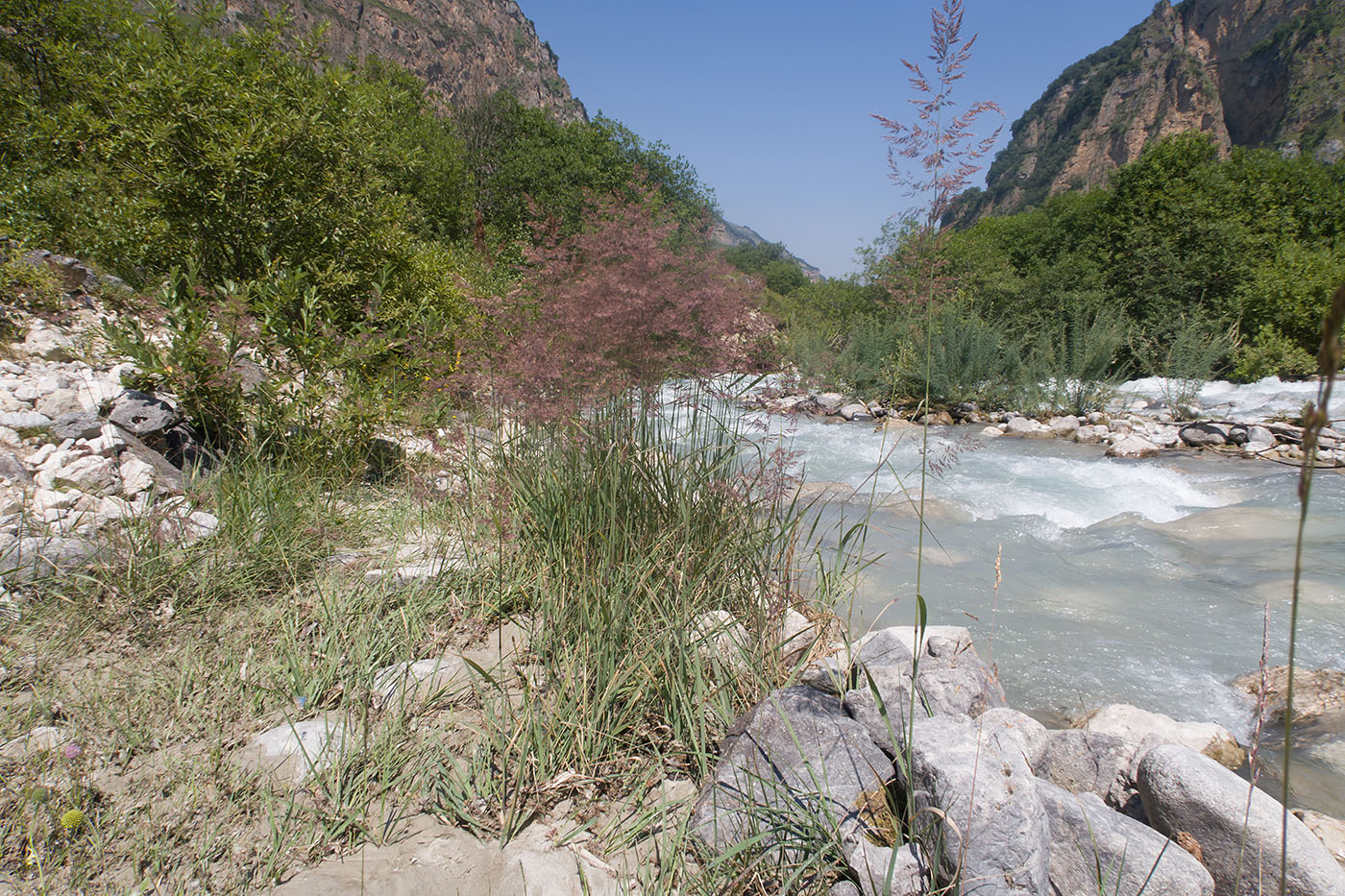 Хазнидон, image of landscape/habitat.