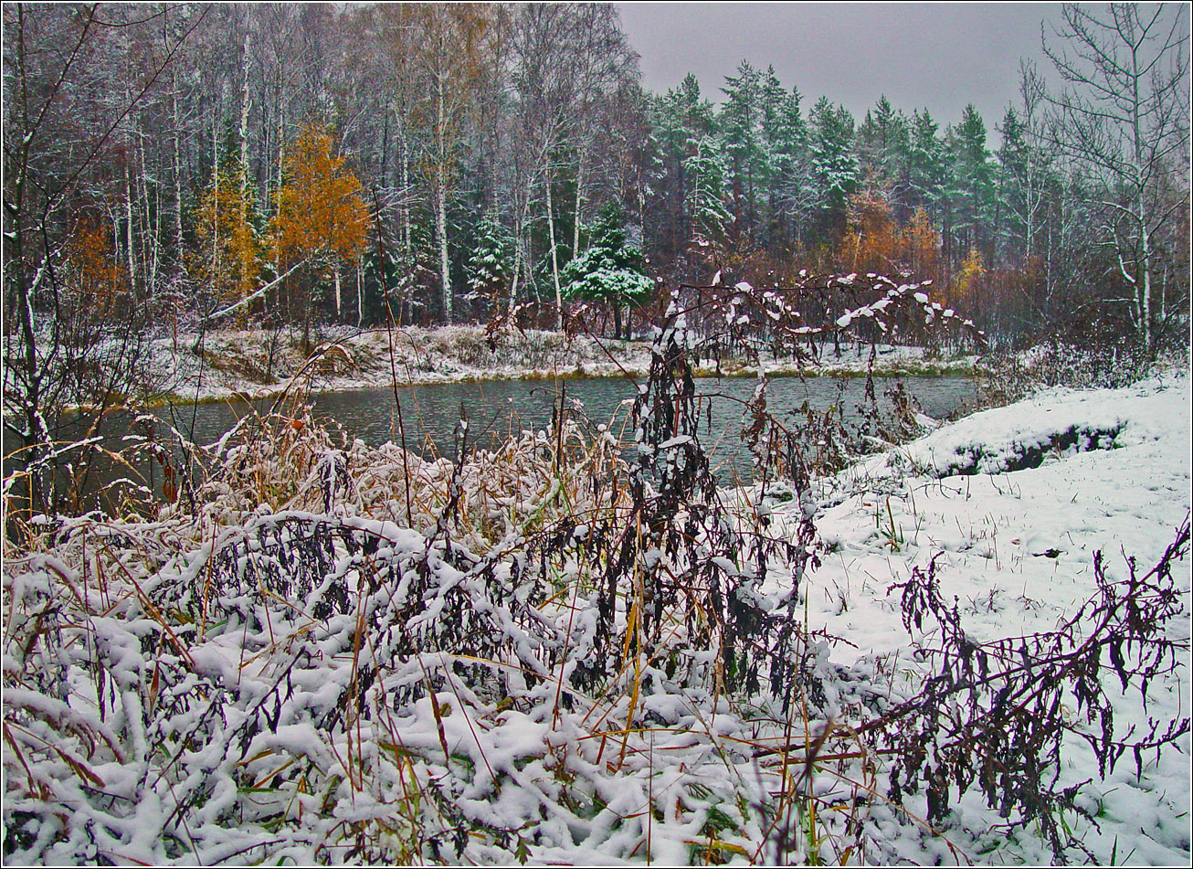 Окрестности Хрипани, image of landscape/habitat.