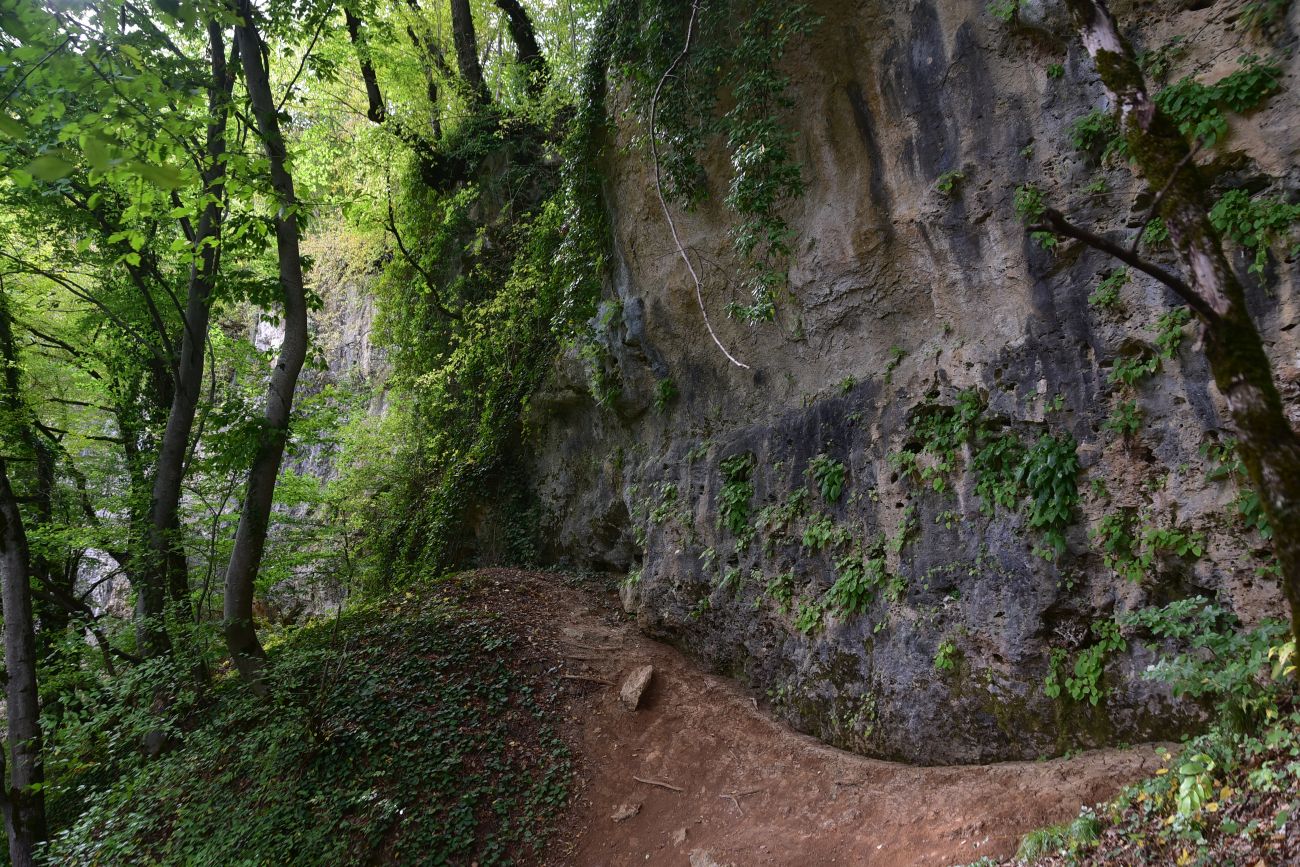 Хаджохская теснина, image of landscape/habitat.