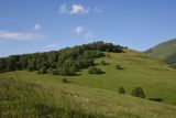 Image of landscape
