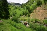 Image of landscape