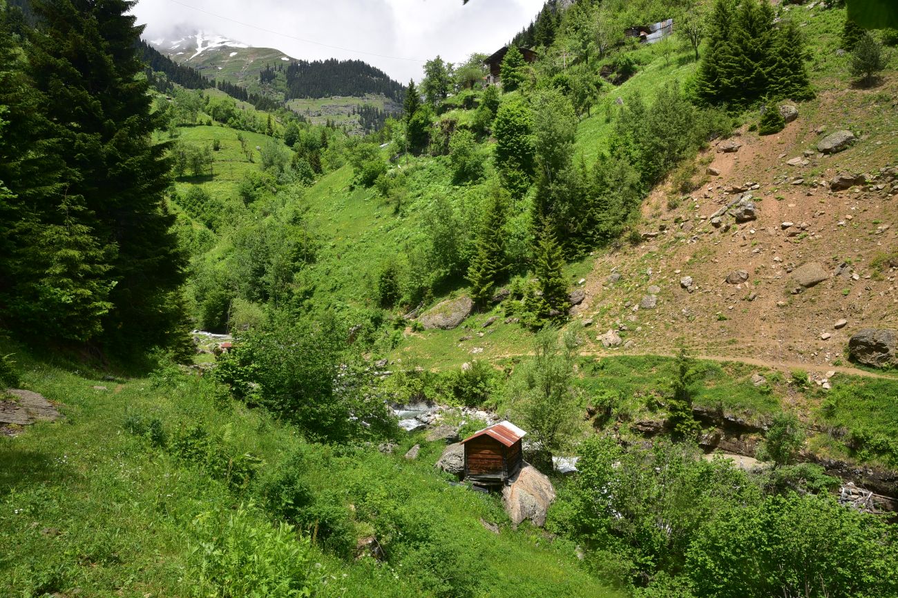 Кашикли, image of landscape/habitat.