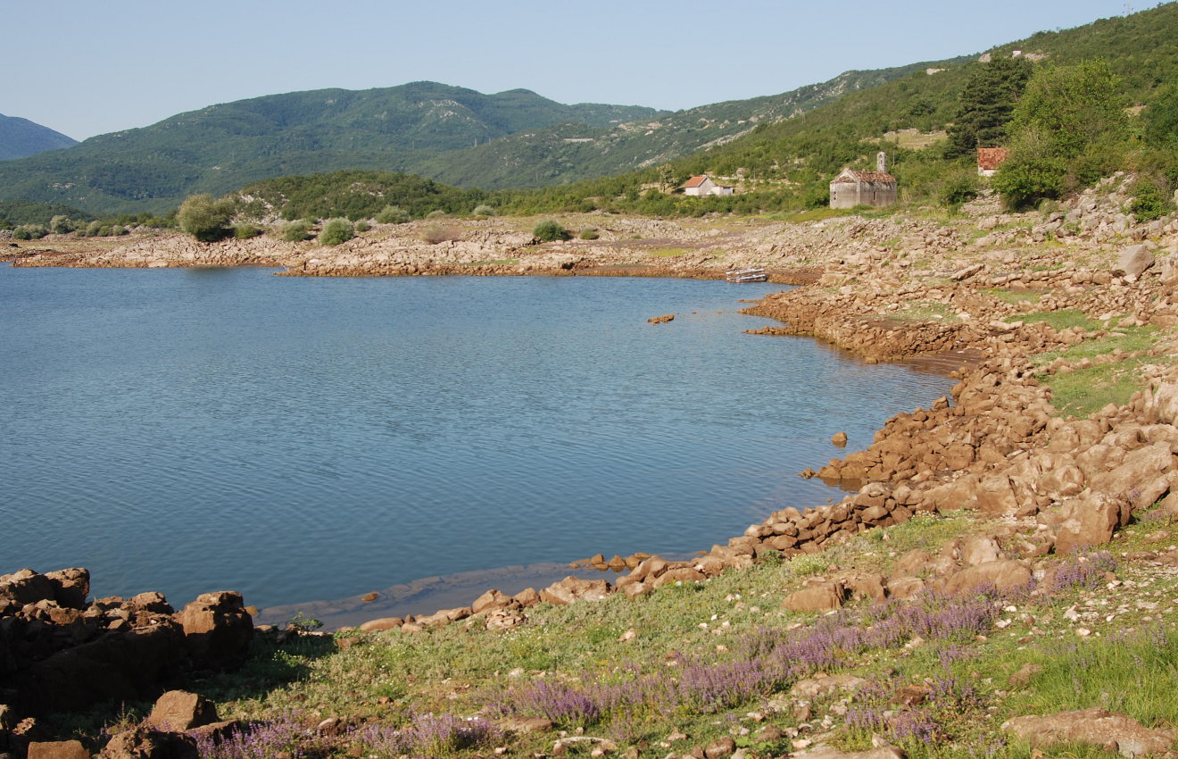 Сланское озеро (западный берег), изображение ландшафта.