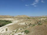 Image of landscape