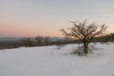 Вышка, image of landscape/habitat.