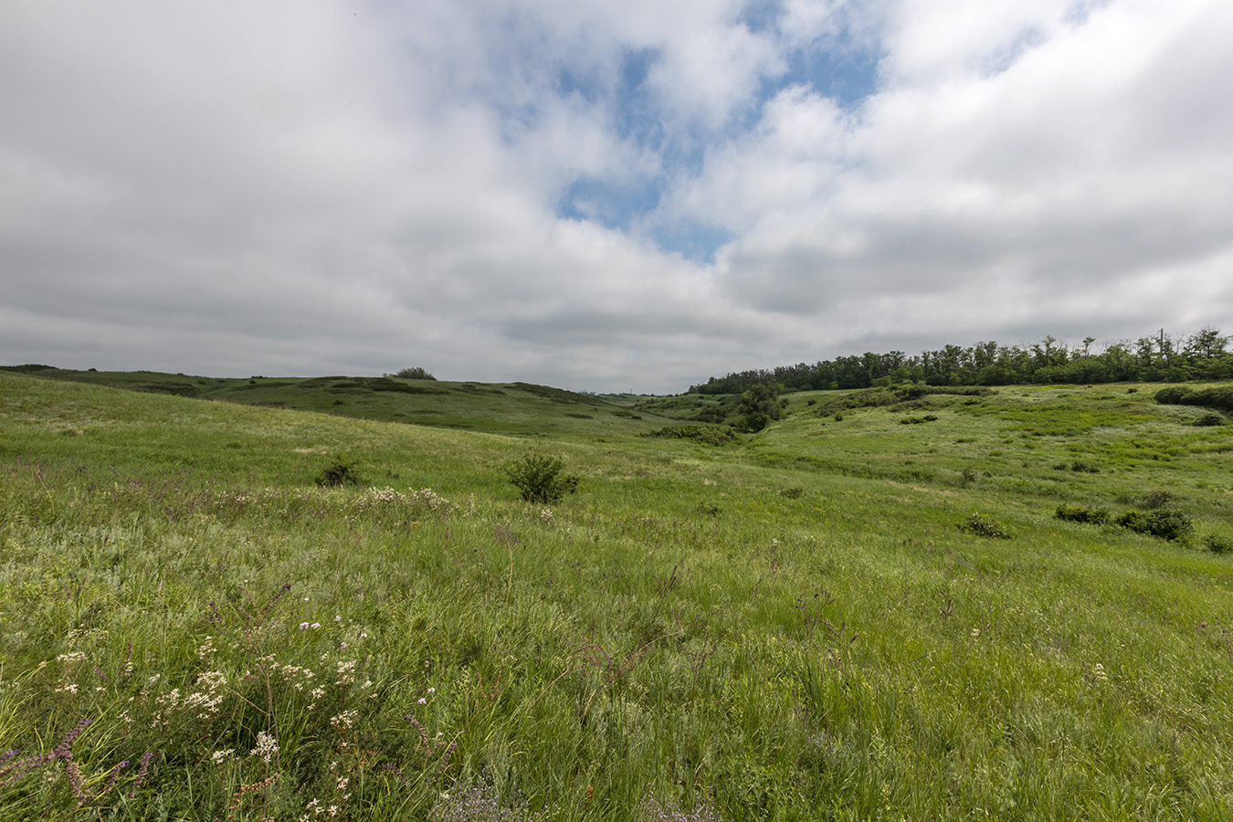 Урочище Каменная Балка, image of landscape/habitat.