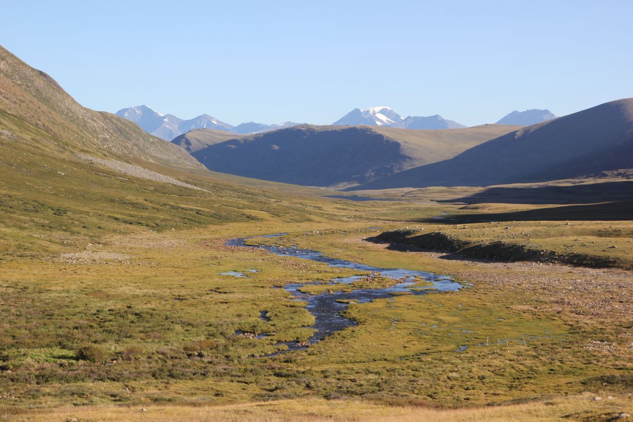 Верховья реки Джумалы, image of landscape/habitat.