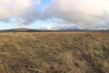 Лысая-Неберджаевская, image of landscape/habitat.