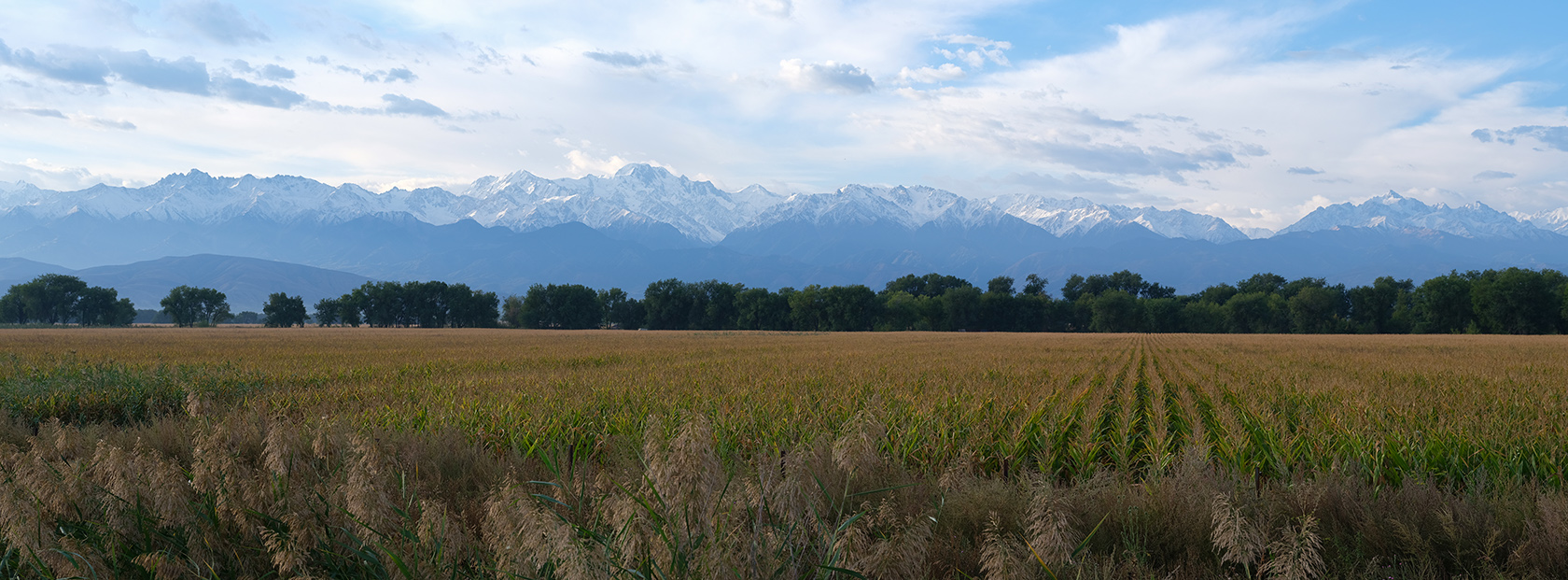 Чинтургеньское ущелье, image of landscape/habitat.