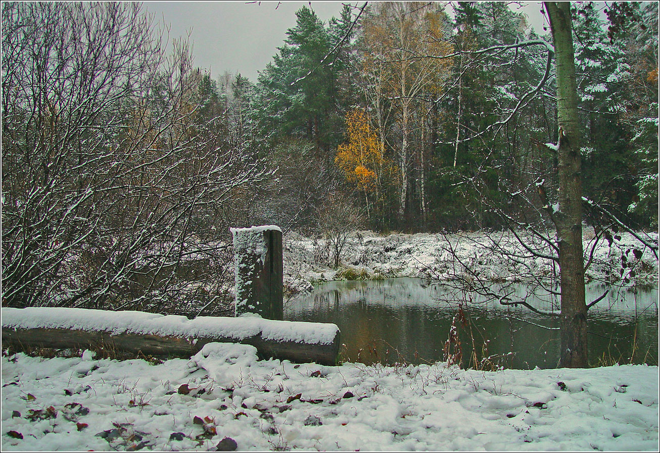 Окрестности Хрипани, image of landscape/habitat.