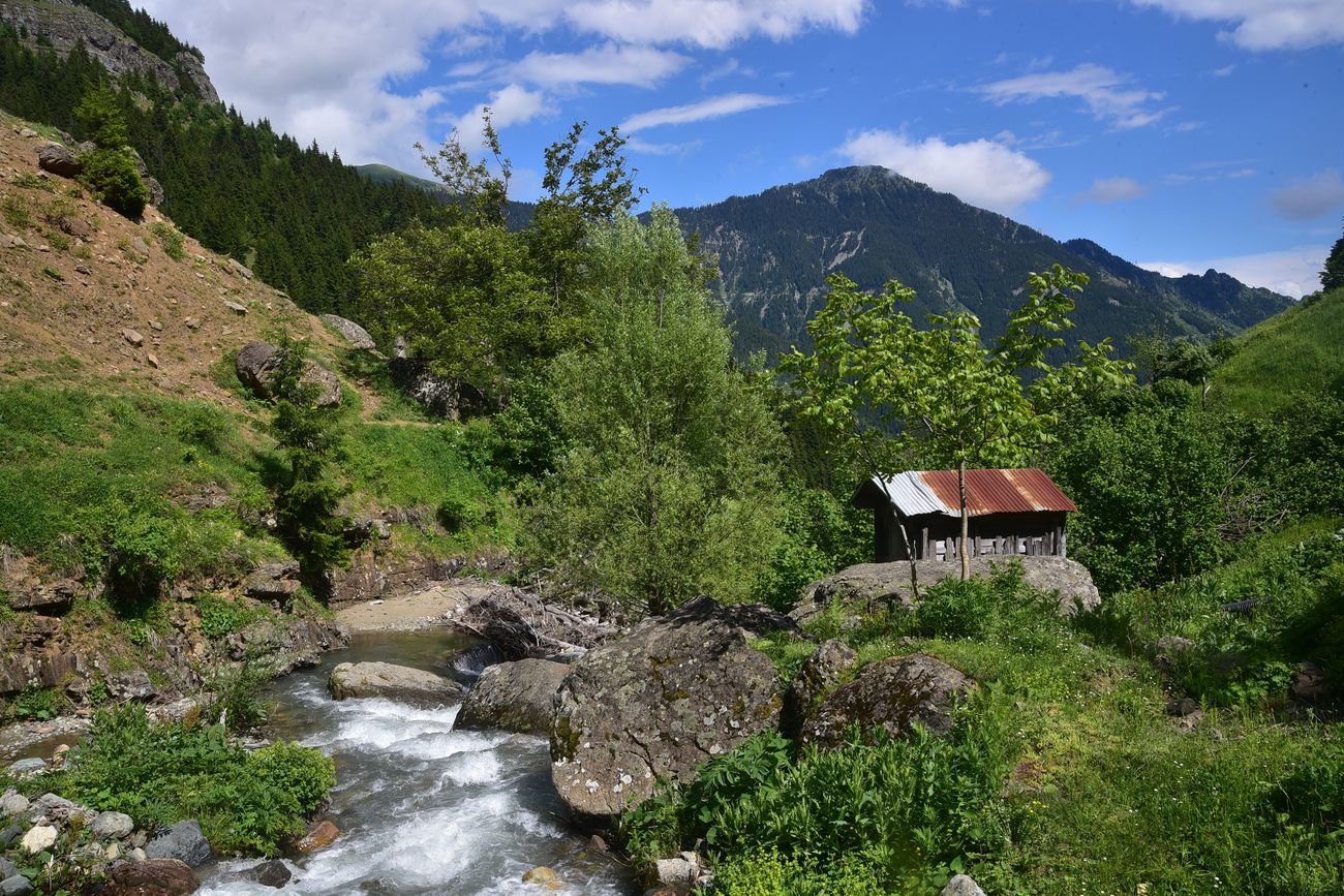 Кашикли, image of landscape/habitat.