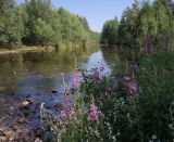 Image of landscape