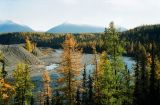 Кожим-переправа, image of landscape/habitat.