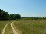 Нагорная дубрава «Улитинская», image of landscape/habitat.