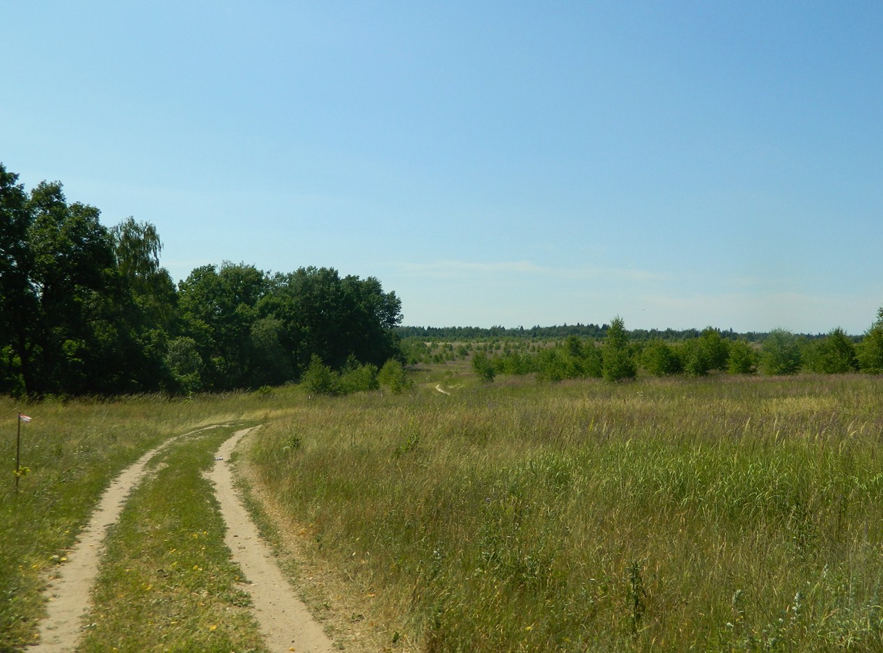 Нагорная дубрава «Улитинская», image of landscape/habitat.