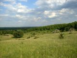 Персиановская степь, изображение ландшафта.