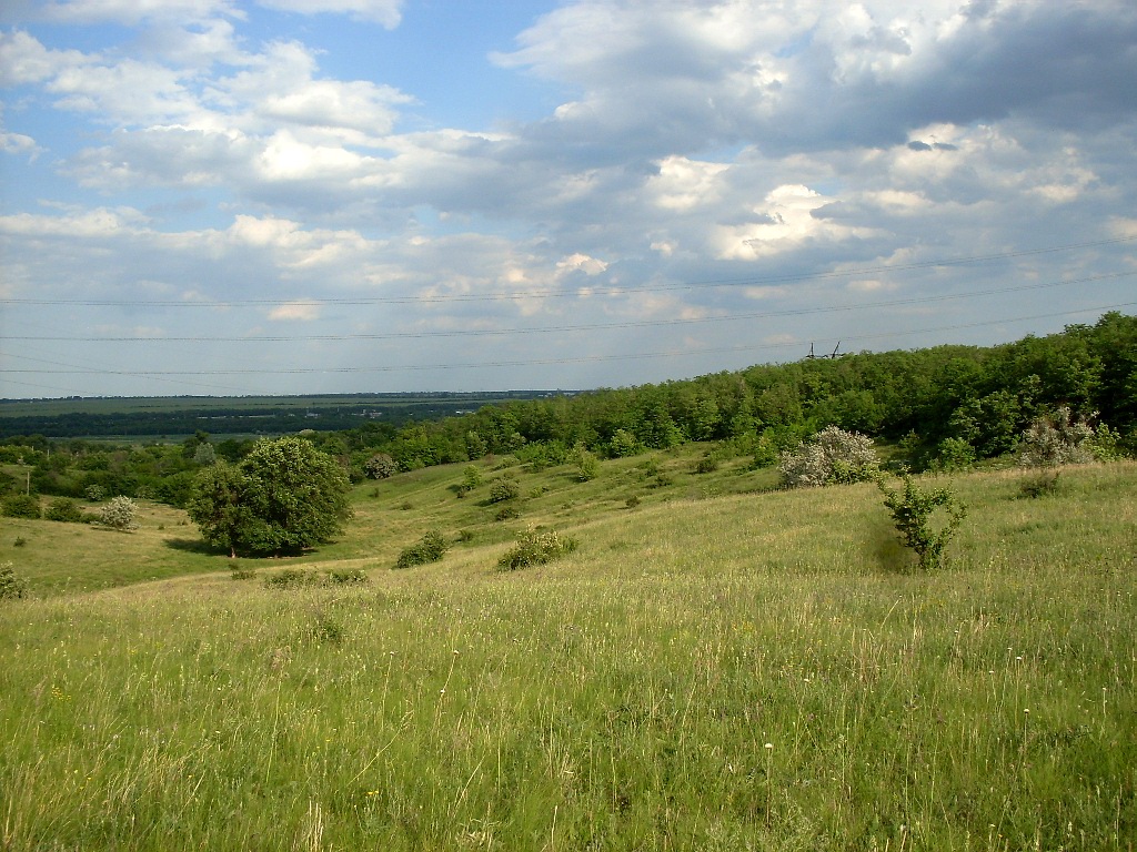 Персиановская степь, image of landscape/habitat.