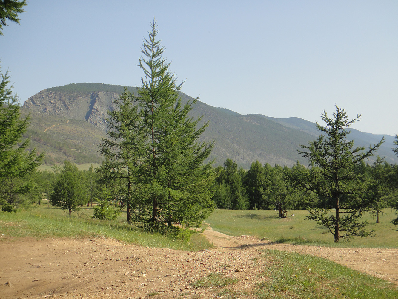 Курминское озеро, image of landscape/habitat.