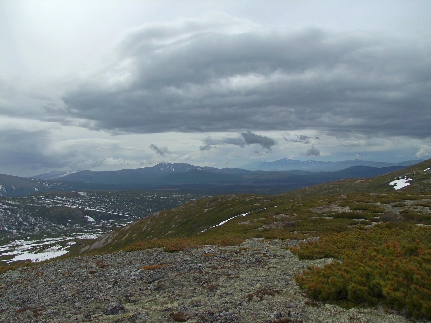 Водораздел Дукчи и Омчика, image of landscape/habitat.