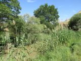 Image of landscape