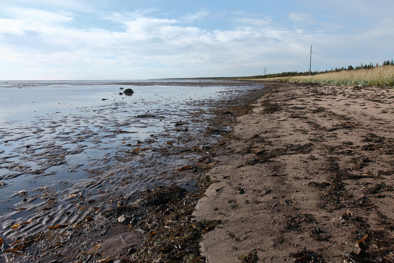 Кашкаранцы, image of landscape/habitat.