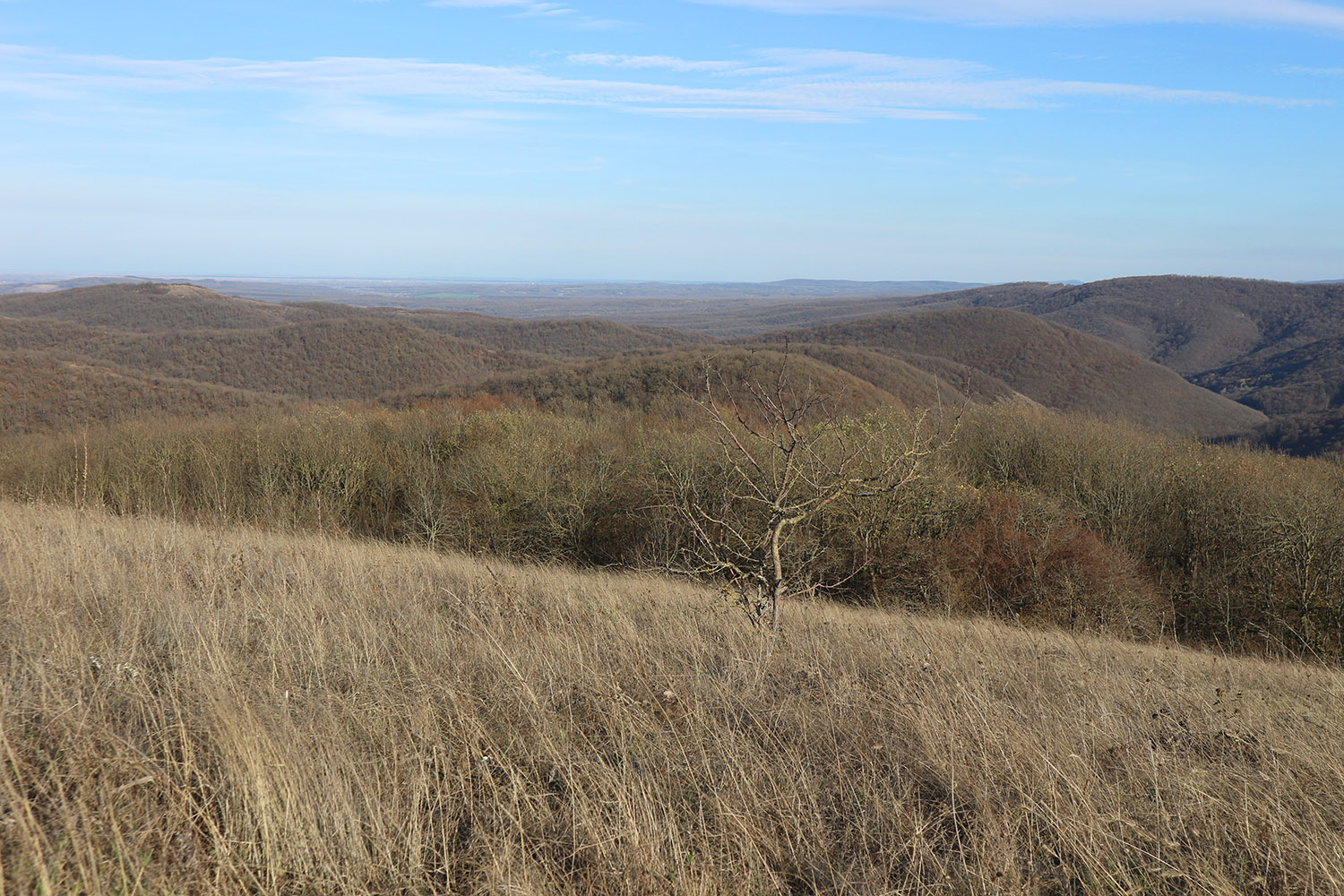 Херсонка, image of landscape/habitat.