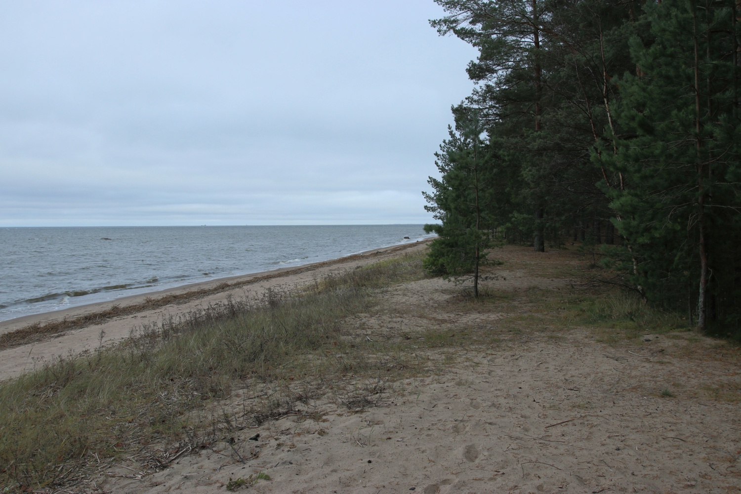 Красная Горка, image of landscape/habitat.