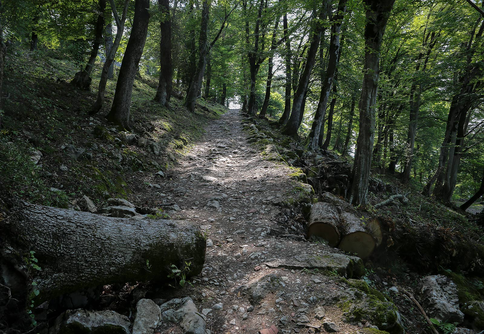 Иверская гора, image of landscape/habitat.