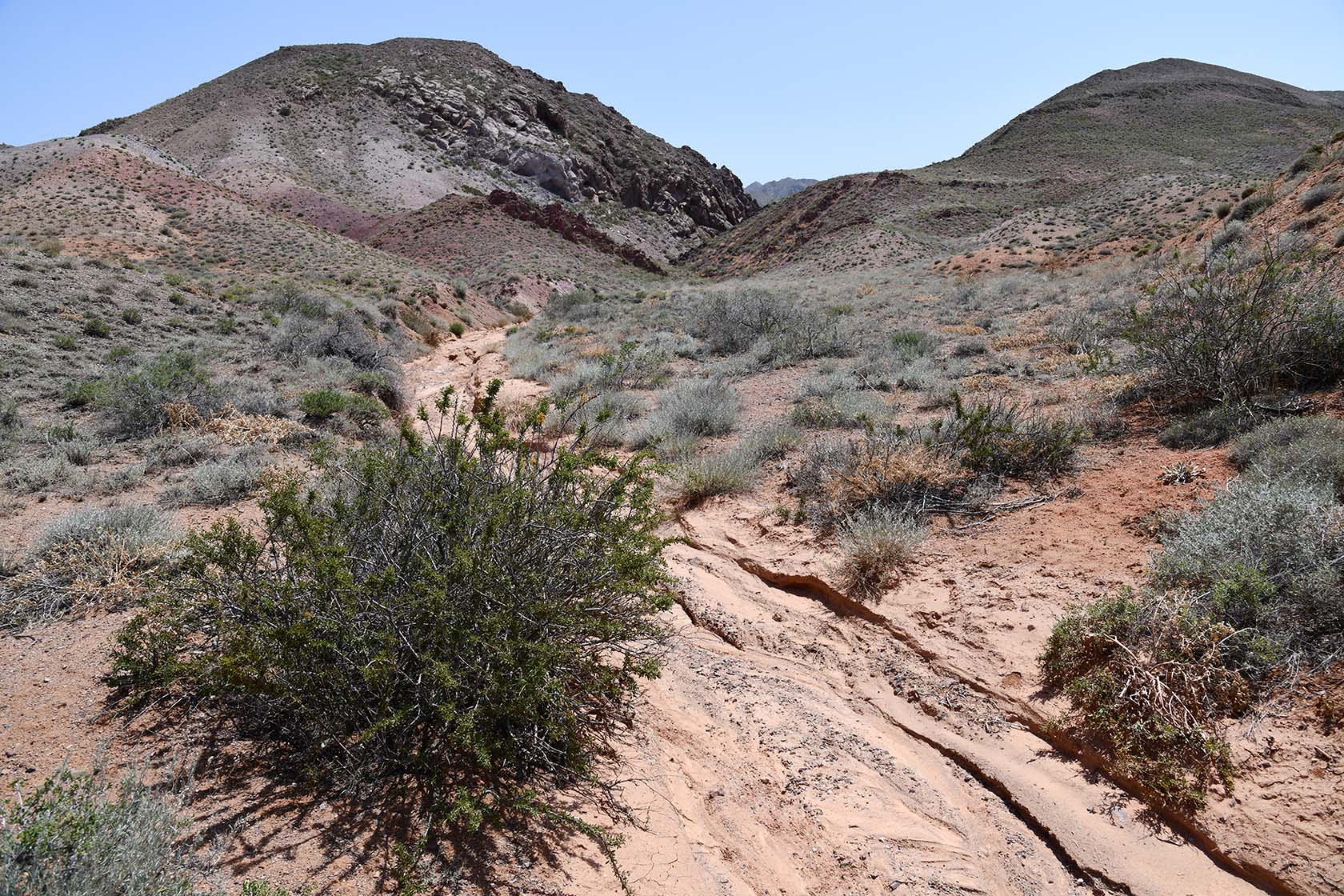 Бала-Богуты, image of landscape/habitat.