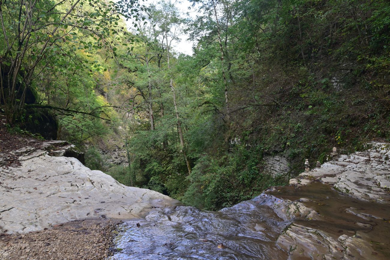 Девичья Коса, image of landscape/habitat.