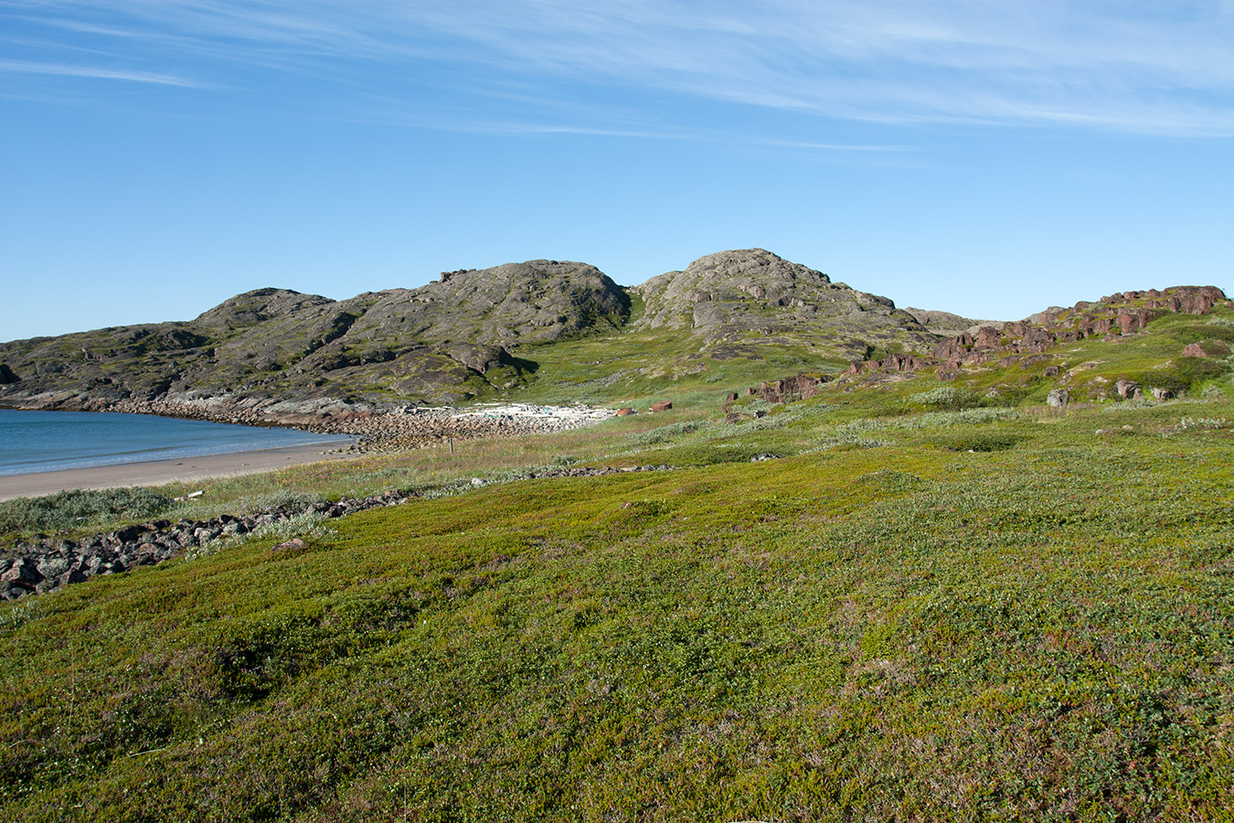 Подпахтинская губа, image of landscape/habitat.