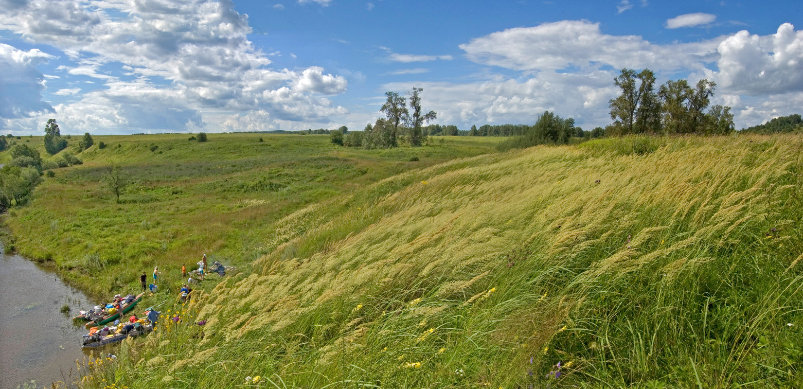 Окрестности деревни Карнаухово, image of landscape/habitat.