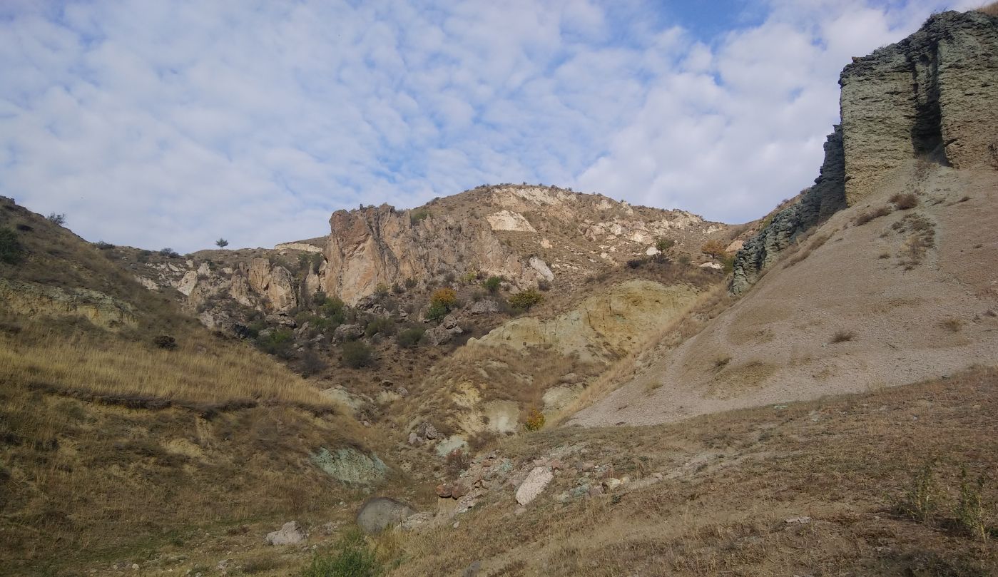 Окрестности села Тмогви, image of landscape/habitat.
