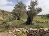 Image of landscape