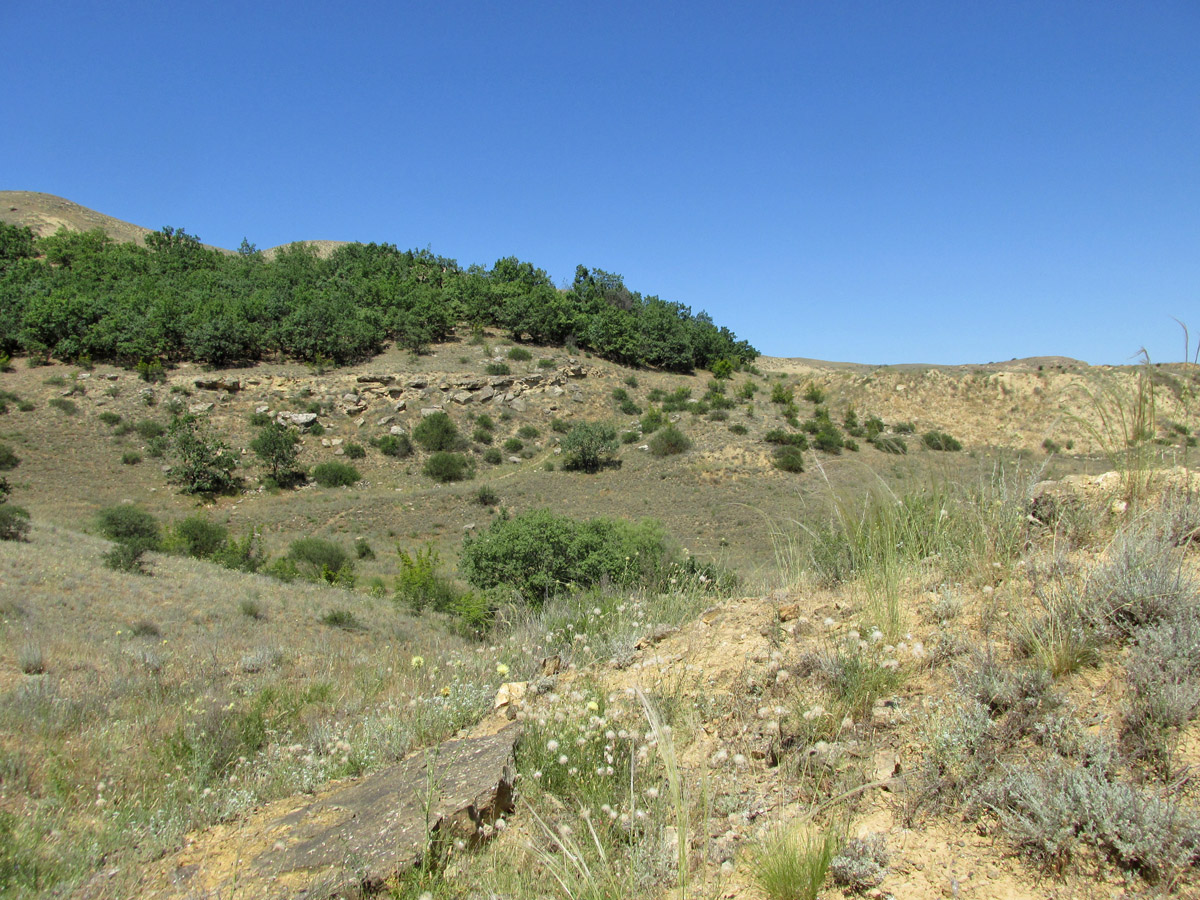 Гелинбатан, image of landscape/habitat.